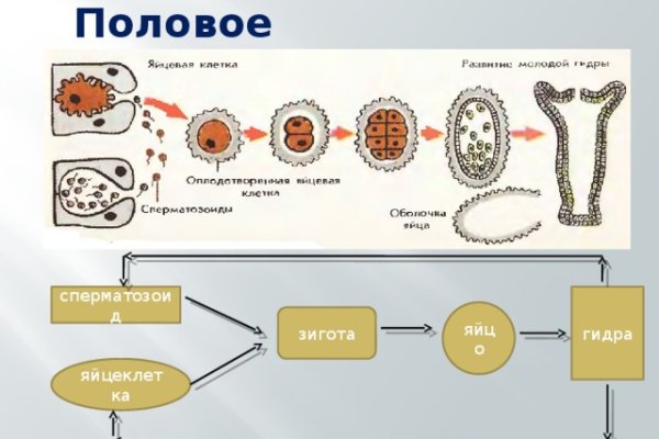 Кракен топ