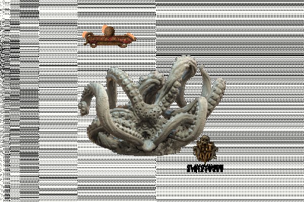 Kraken 12g