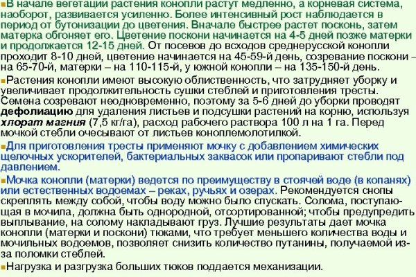 Ссылки на дарк нет