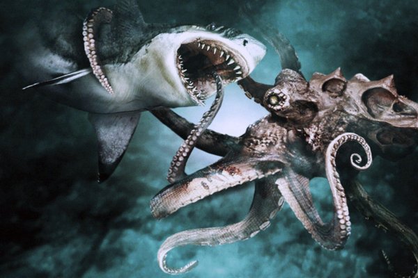 Kraken 22 аt