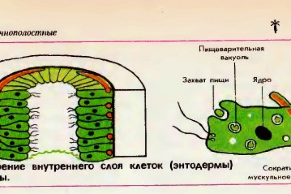 Даркнет вход