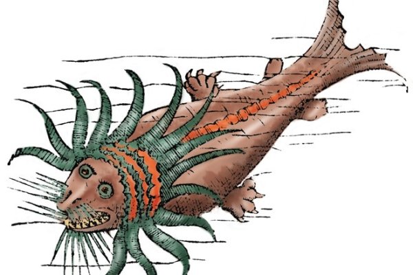 Kraken официальные зеркала
