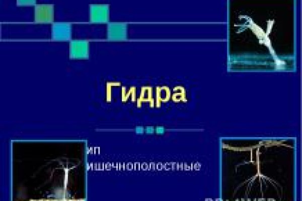 Кракен правильная