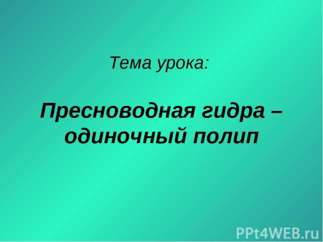 Кракен правила площадки