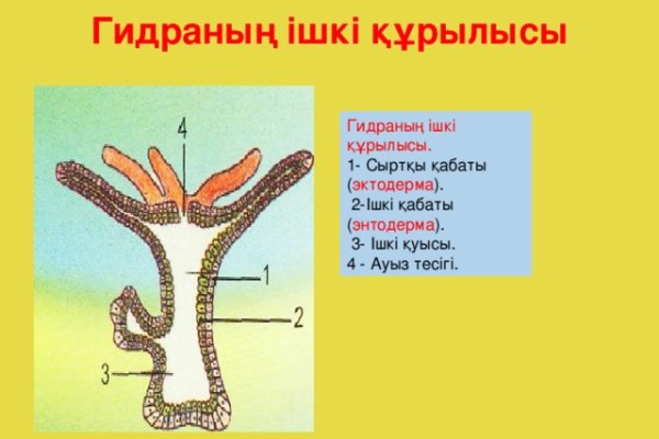 Кракен тор это