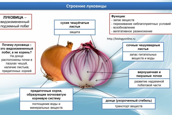 Кракен store