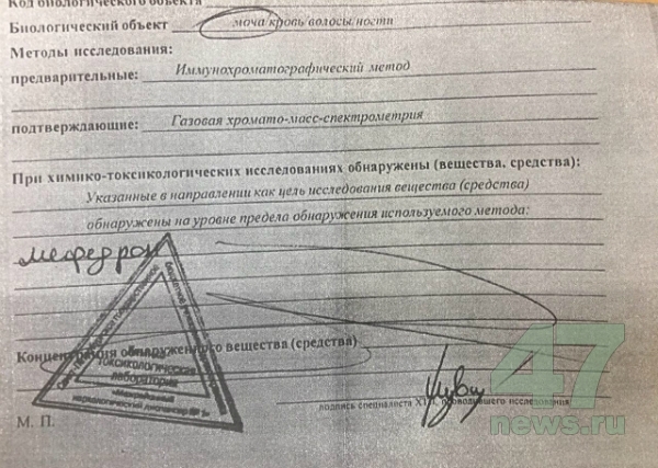 Зайти на кракен